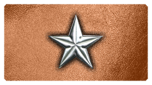 DSC700 430 SL CP Star Silver Copper